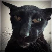 [Obrazek: avatar_2830.webp]
