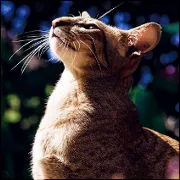 [Obrazek: avatar_2832.webp]