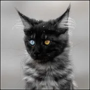 [Obrazek: avatar_2998.webp]