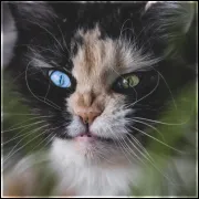 [Obrazek: avatar_3000.webp]