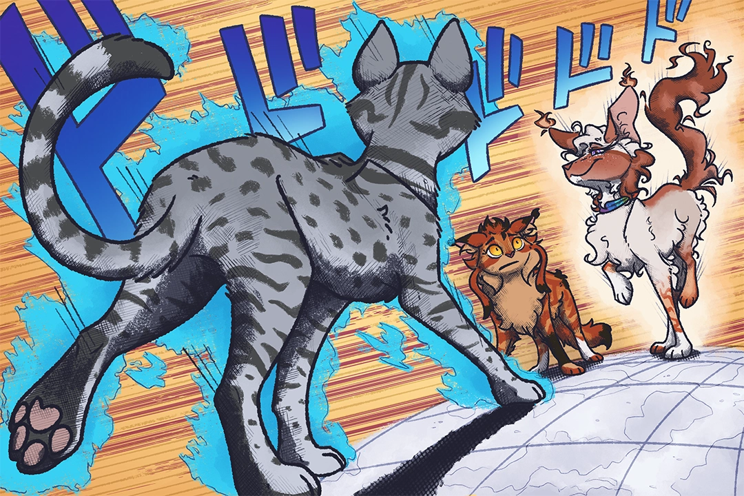 top 5 anime battles